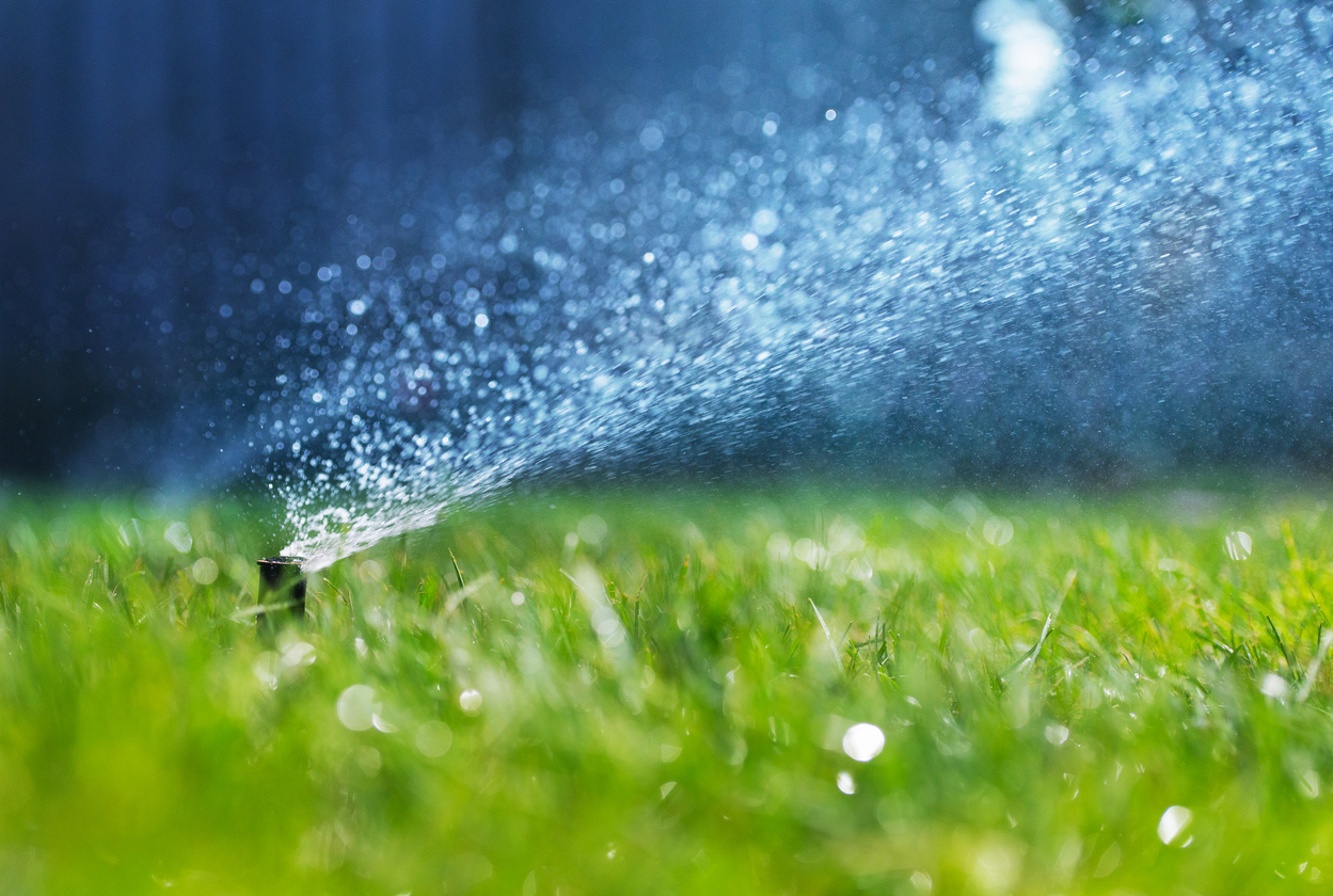Wetting Agents